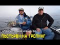 Дълбоко скрити тайни за ПЪСТЪРВИ на тролинг