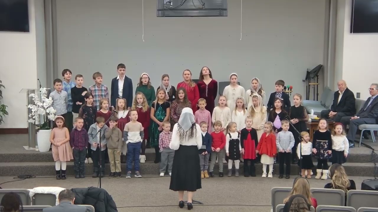 Как будто на Яву на родине Давида Звезда Рождества