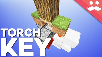 Minecraft: The Tree Torch Key Hidden Input [Day 15!]