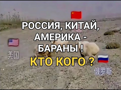 Америка, Китай, Россия - БАРАНЫ! Или, как выглядит сегодня противостояние стран глазами китайцев