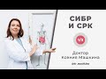 СИБР и СРК | Симптомы, диагностика, принципы лечения