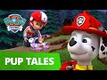 Bunny and Buddy Rescue with Marshall! 🐰- PAW Patrol Rescue Episode - Cartoons for Kids