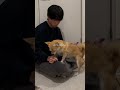 この日は終業後すぐにお散歩に行ってたくさん走って、中華を食べてドーナツを食べて寝た日。幸せが詰まってるね