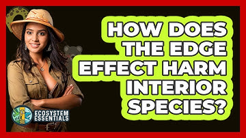 How Does the Edge Effect Harm Interior Species?