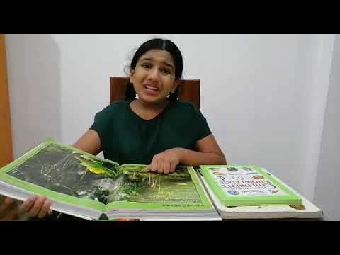 World Environmental Day