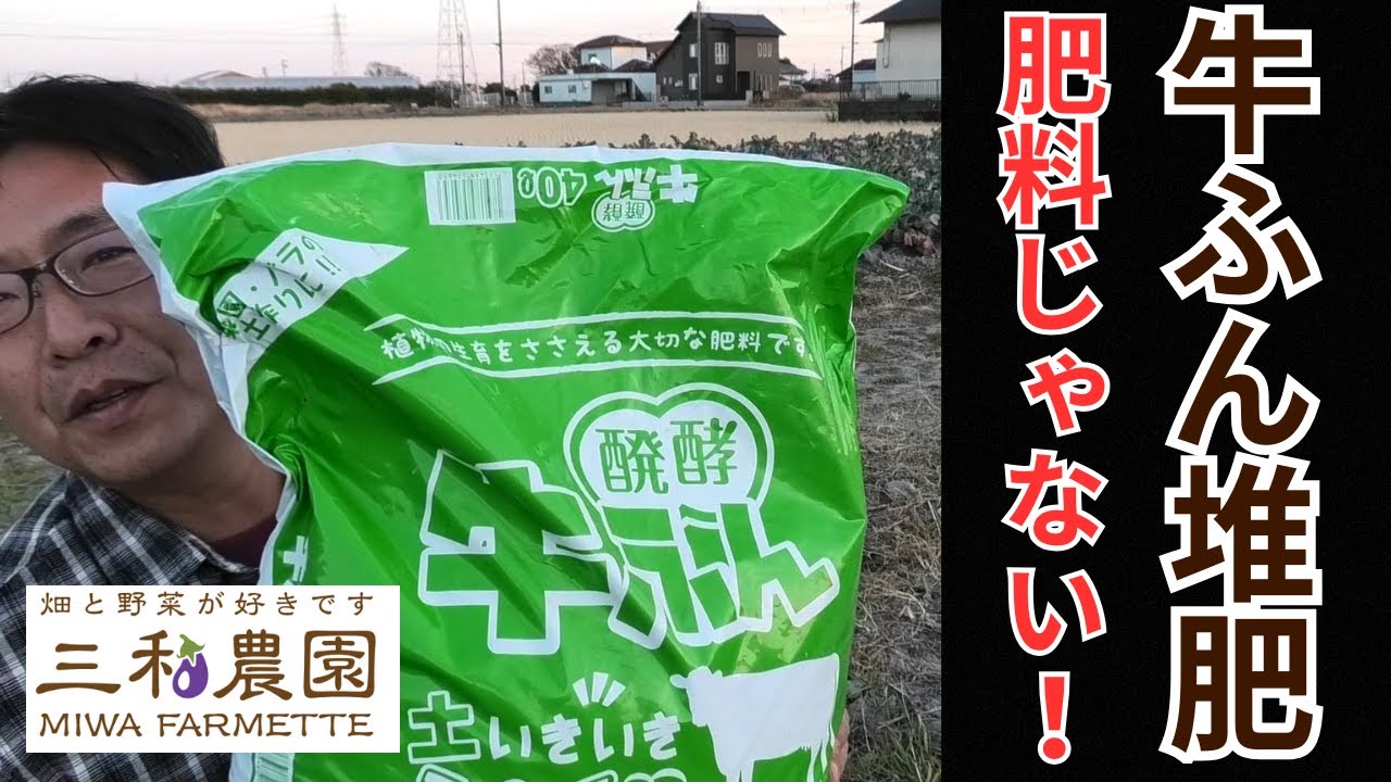 【土作り】まだ早い？いえ、今です！牛糞堆肥を入れる本当の理由と最適なタイミング。（2026.1.17）