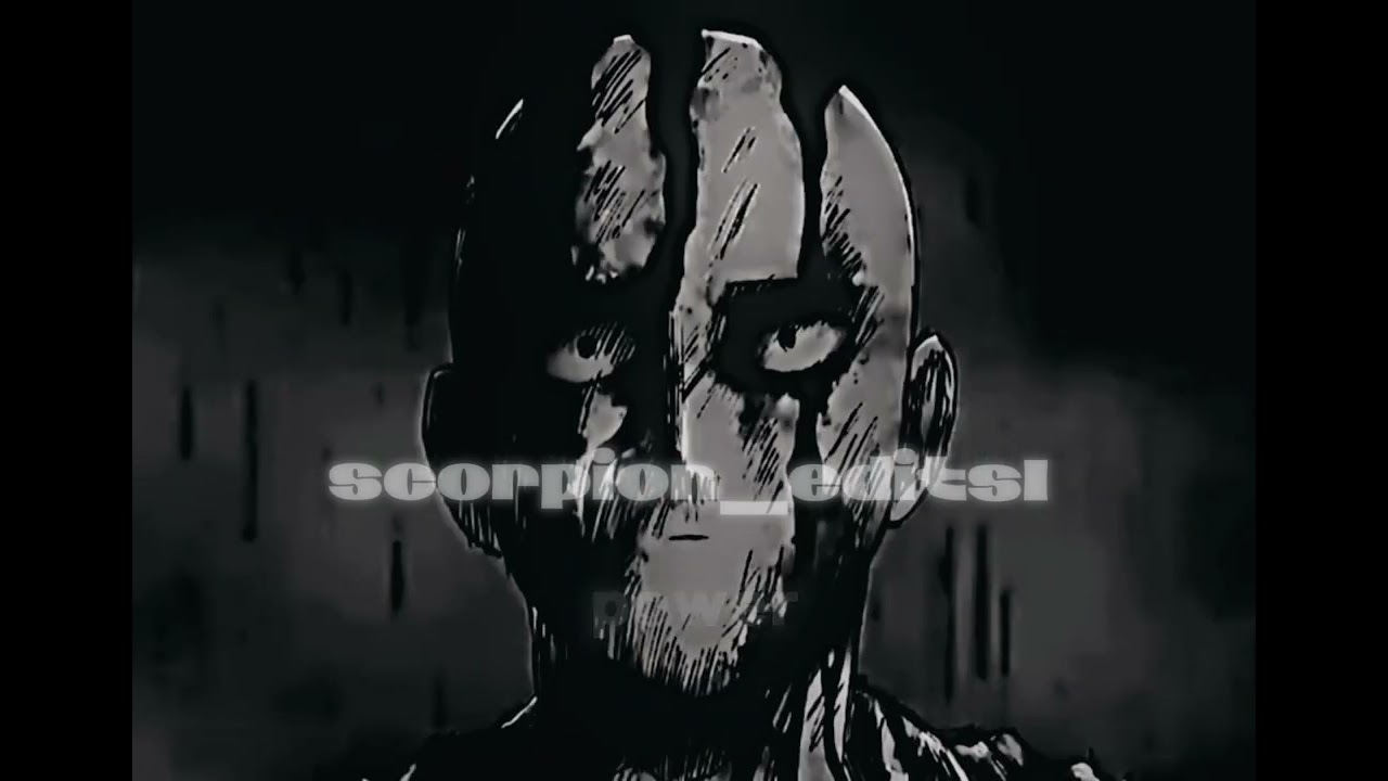 Saitama’s Quote (Edit) 