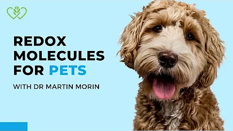 Dr Martin Morin & Catherine Edwards: ASEA Redox Si...