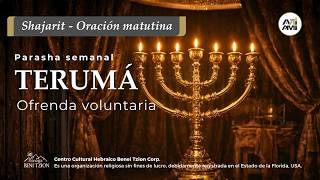 ✨ Shajarit parasha Tetzaveh 2026 | Oraciones para Shabat | Alianza AniAMI | Rabino Dan ben Avraham