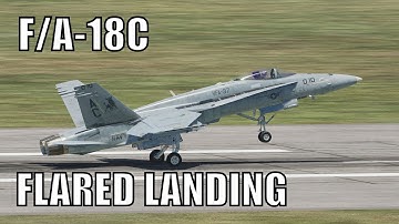 DCS - F/A-18C - Flared Landing