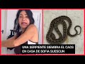 Sofia suescum aterrorizada  por la serpiente que encuentra en casa