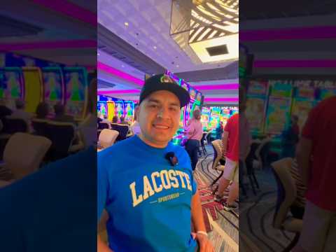 Full Stream Stevewilldoit High Stakes Gambling At The Red Rock Casino Absolute Degeneracy #reaction