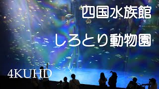 四国水族館、しろとり動物園、イルカ、コツメカワウソ、トラ、香川県のおいしい1日  ”Shikoku Aquarium”＆”Shirotori Zoo”【4K】