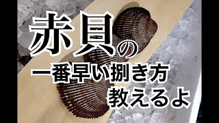 赤貝の捌き方