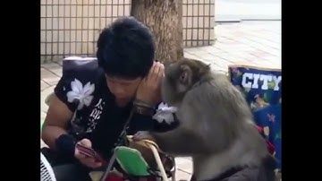 When LINUX ELITIST step into the WAR... | MEME WARNING #shorts #linux #opensource #software #tech