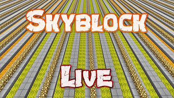 Hypixel Skyblock - Farming Until My First 10M!