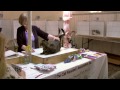 Cat Show, Delaware River Cat Club