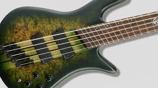 ベース Spector NS dimension-5 NS Dimension 5 - Spector Bass