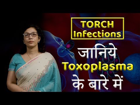 TORCH Infections | जानिए Toxoplasma के बारे में | Know everything about Toxoplasma