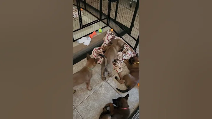 Boys will be Boys!