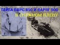 Снежный плен или снегоход снеговик (Тайга Барс 850 и Варяг 500)