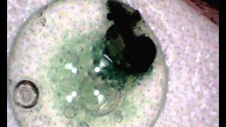 Microscale Displacement Reactions