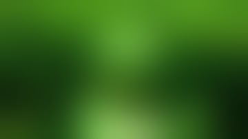 XAVIER WULF - SMH // OFFICIAL VIDEO / 2013