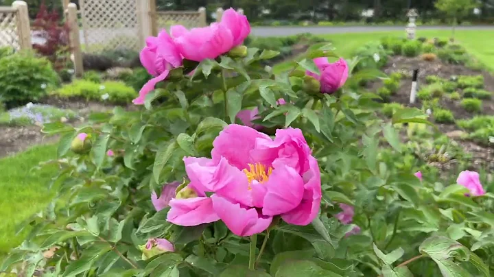 Trial Garden Tour May 2022