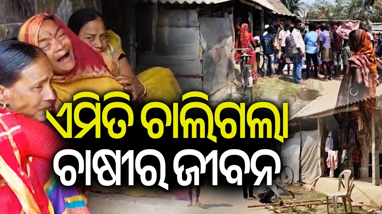 Farmer dies after being harassed by rice miller over paddy procurement in Odisha's Kendrapara