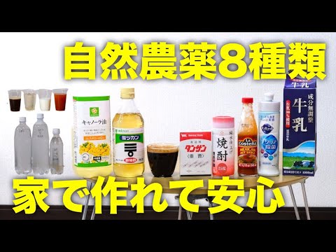 【自然農薬】かんたんな作り方とおすすめの使い方,注意点と安全性【家庭で安心手作り】