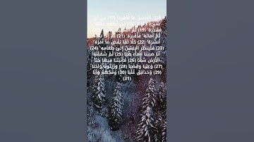 سورة عبس بأروع الأصوات لراحة النفسية من الآية 17 حتى الآية 31 #قرآن #قران_كريم #تعليم #قراءة