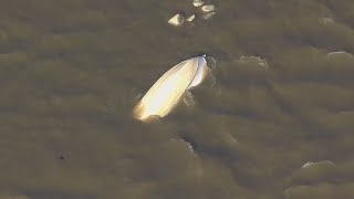 Search continues for missing boater near Lake Houston Dam