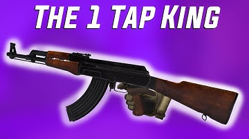 THE KING OF 1 TAPS - AK47 Gun Guide (Pavlov VR Gun Guide)