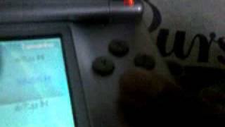 Cómo poner trucos a los juegos de tu Nintendo DS con la R4 1º parte