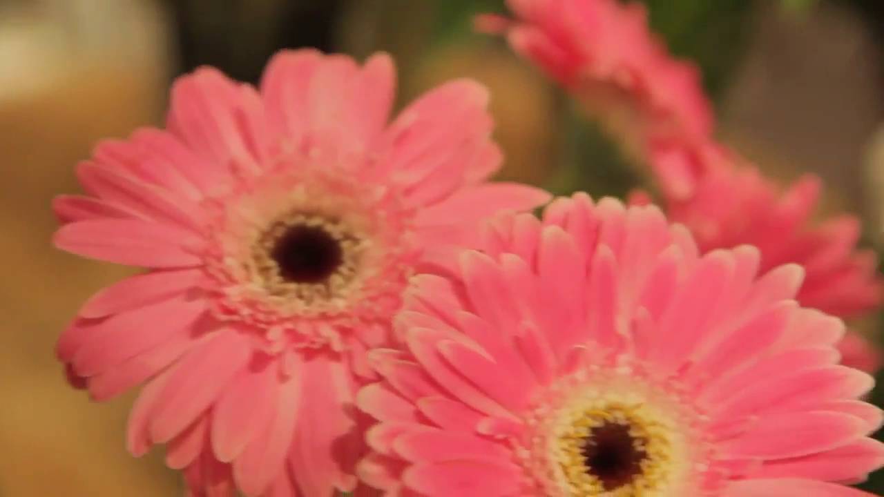 Flower Delivery Service Chicago