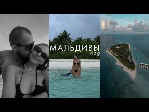 Видео: ВЛОГ Мальдивы в сентябре | Годовщина свадьбы | Отель Dhigali Maldives 5* | Cнорклинг и дельфины