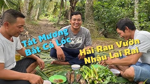 Ngày Mưa Tát Mương Bắt Cá Lóc Nướng Hái Mớ Rau Vườn Lai Rai Cho Nó Đã Thèm | Cldv #775