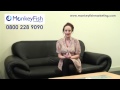 Monkeyfish blog  01  internet marketing