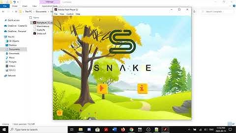 Adobe Flash Snake Game using ActionScript