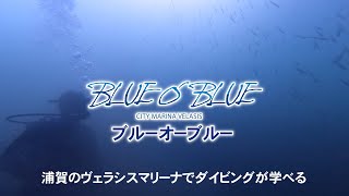 浦賀でダイビングが学べる「浦賀ダイビングセンター BLUE O BLUE」