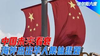 中国未來看衰，海外杰出华人集体悲观；黎安友指出许成钢《制度基因》错在哪里｜华尔街六度