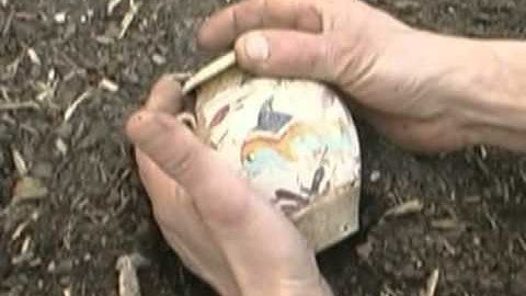 The Oracle of Delphi (2006)