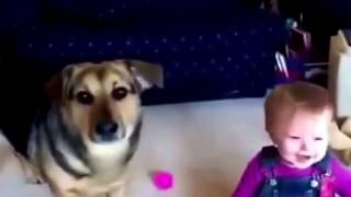 Любовь детей к животным Любовь детей к животным