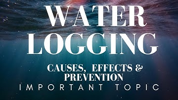 Water Logging Explained: Causes, Effects & How to Prevent It