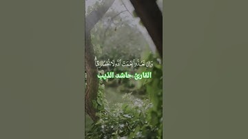 القارئ حاشد الذييب #اكسبلور #السعوديه #لايك #المصحف #الرحمن #دويتو #poetry #love