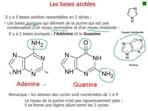 Vidéo: Le Nanobot D'ADN, Constitué D'une Molécule, A Trouvé Un Moyen De Sortir Du Labyrinthe - Vue Alternative