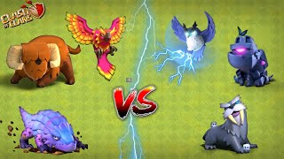 Halerious VS Between Pets in clash of clan 😍||CLASH OF CLAN