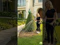 Easy DIY Peacock Garden Idea with Flowers 🌺🦚#diy