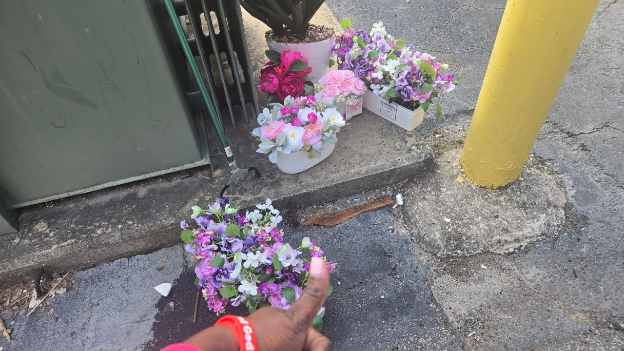 “At First There Was NOTHING… Then I Found ALL This!