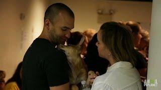 Adopt! Adopt! Adopt! | Puppy Bowl X